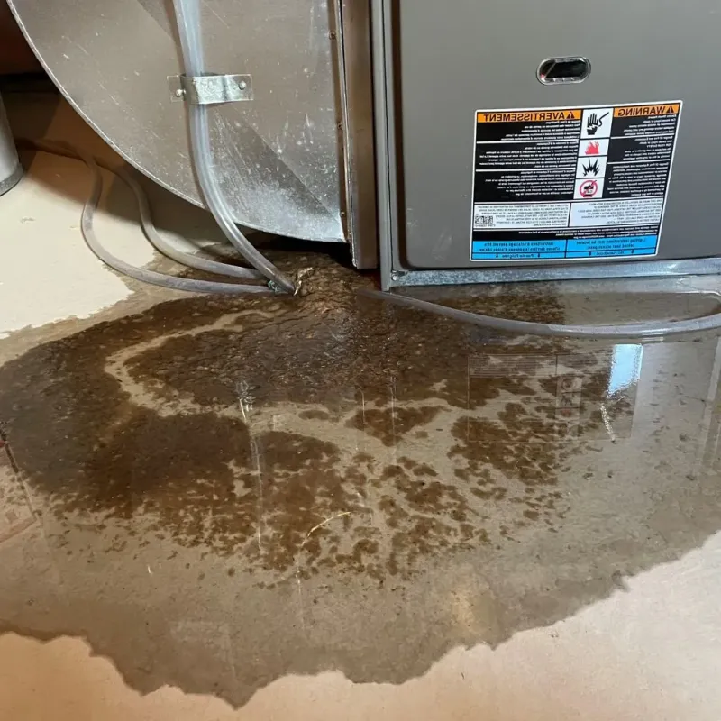 Pipe Burst and Leak Restoration in Monarch Mill, SC